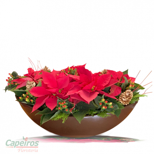 Jardinera Navideña 01