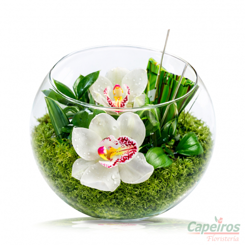 Pecera con Orquideas 02