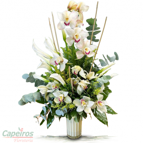 Orquideas y cartuchos