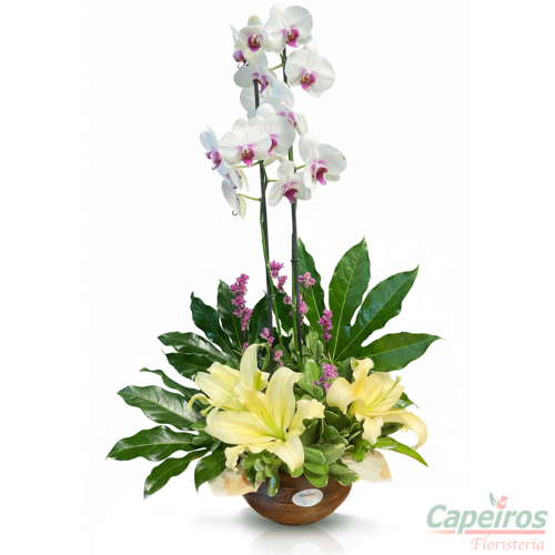 Orquidea con Lirios