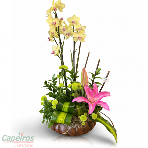Orquideas 42
