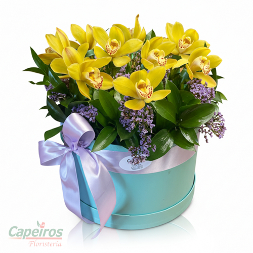 Caja de Orquideas 1
