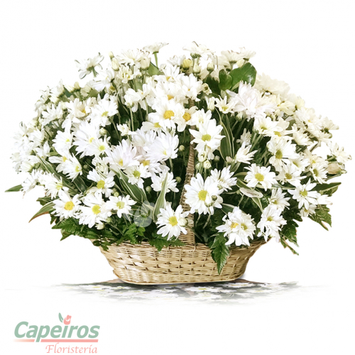 Canasta de Margaritas