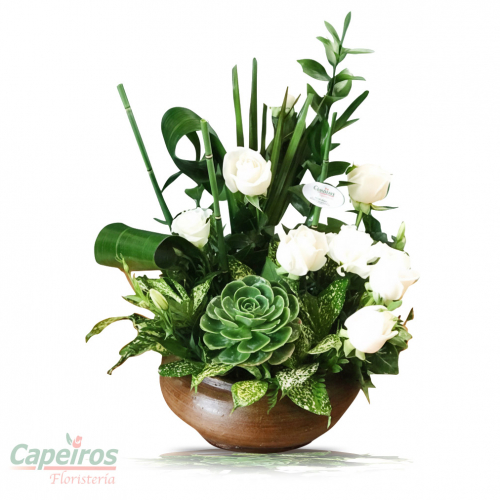 Rosas y suculentas 02