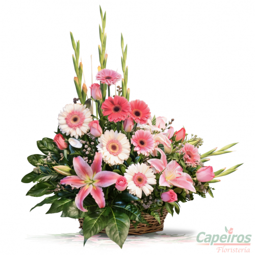 Primaveral Gerberas y Lirios