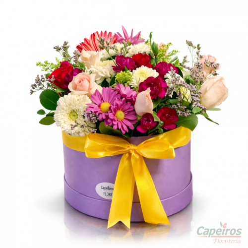 Detalle 119 (pequeño)