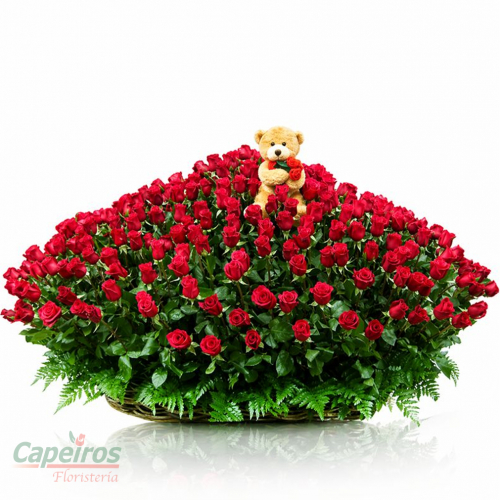 Especial 011 (250 rosas)