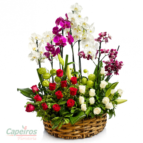 Orquideas y rosas 01