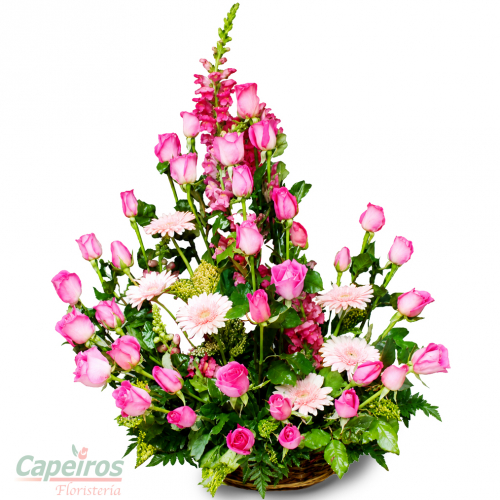 Rosas 024