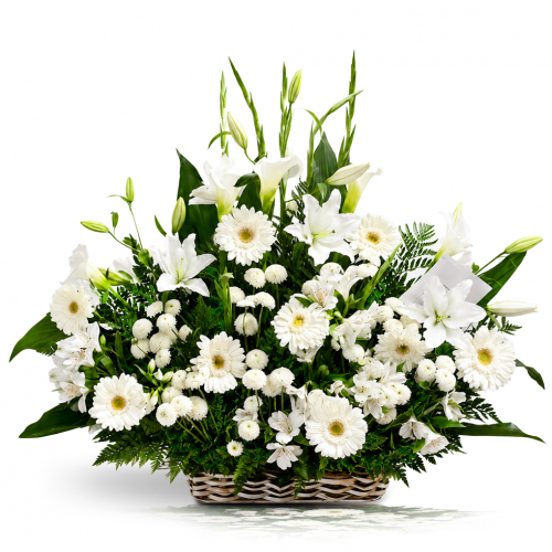 Condolencias 41