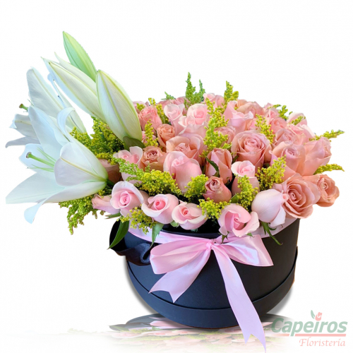 Rosas 142