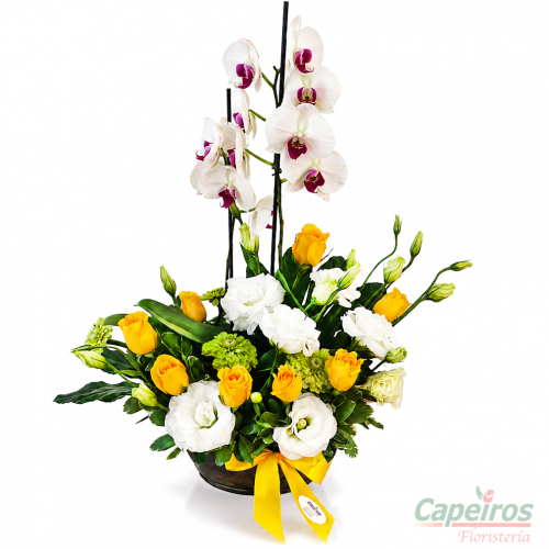 Orquideas 89