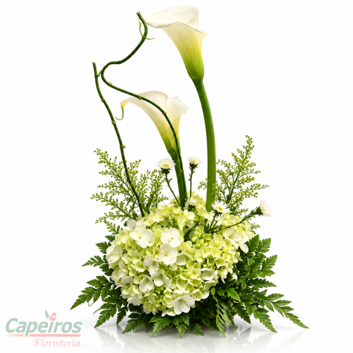 Cartuchos 05