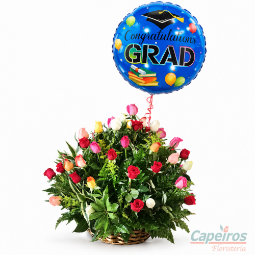 Graduacion 03 (Consultar Precio)